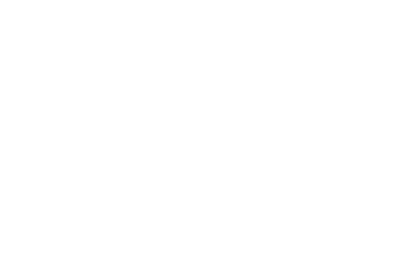 コトバいらずの感動を−日本演出